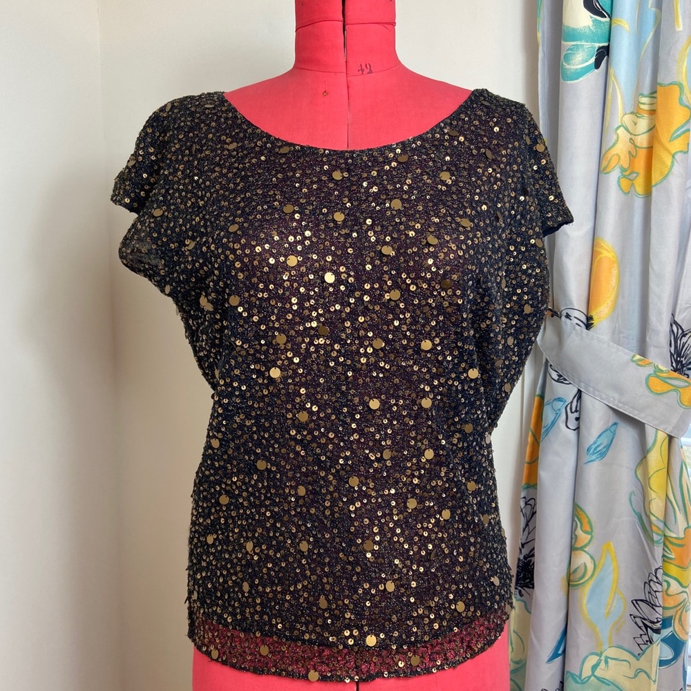 Tolani Sequin Top (S)